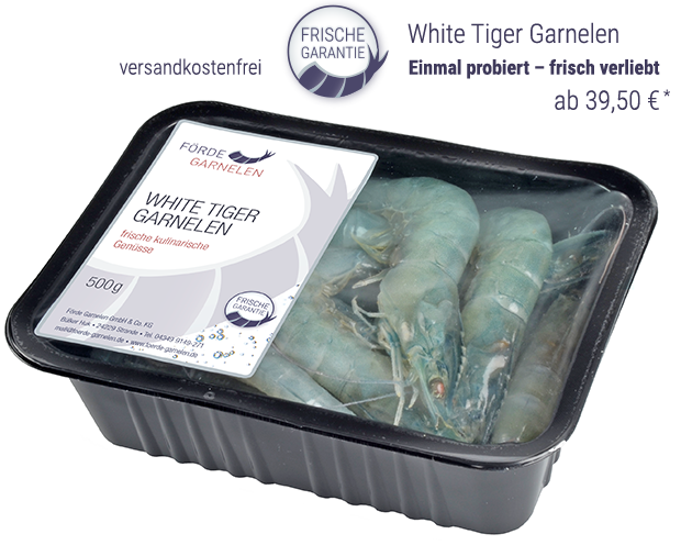 White Tiger Garnelen kaufen